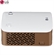 Máy Chiếu LG PH150G 3
